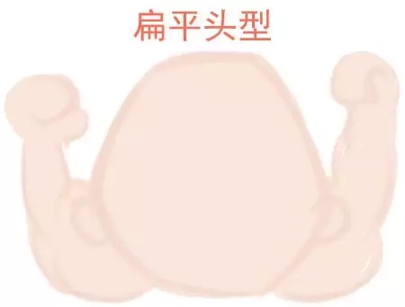ԲͷվɱͷЩ趼֪2.webp.jpg