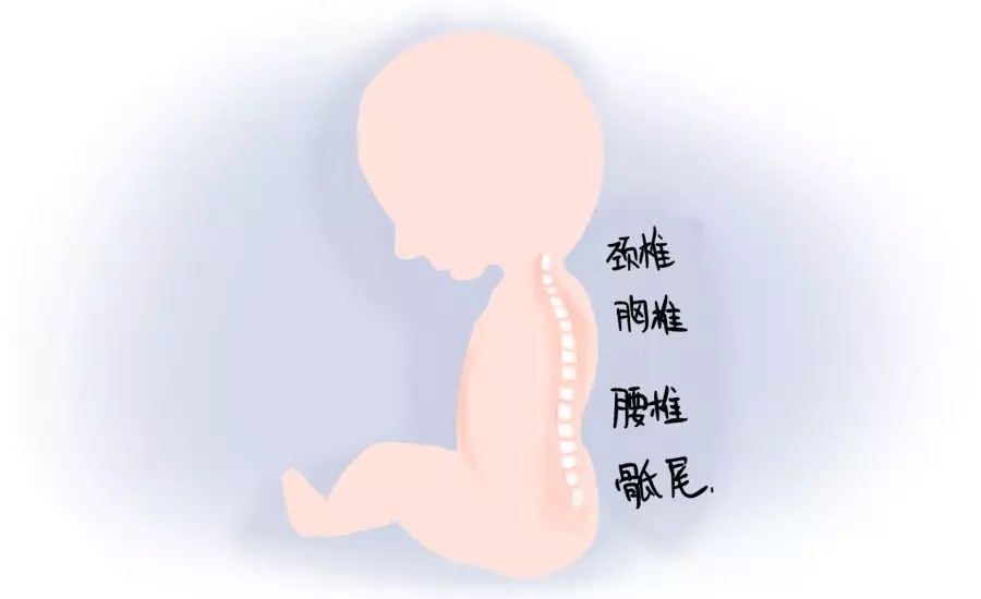 һڰʺƪһҪ1.webp.jpg
